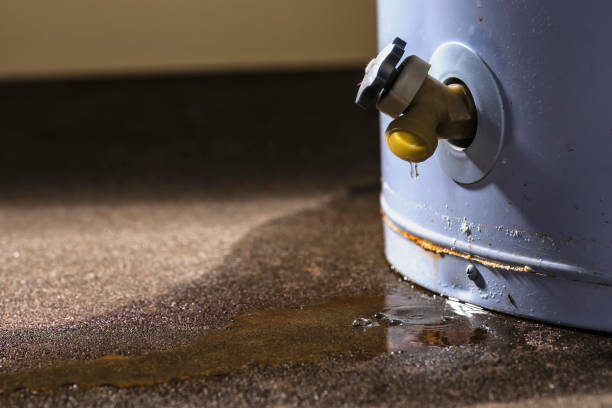 Best Residential water damage restoration  in Riverwoods, IL