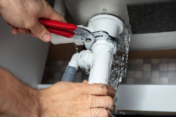 Water damage restoration mold remediation in Riverwoods, IL