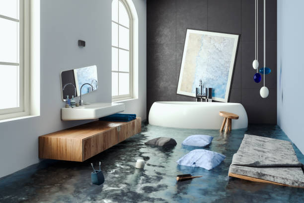 Best 24/7 water damage repair  in Riverwoods, IL