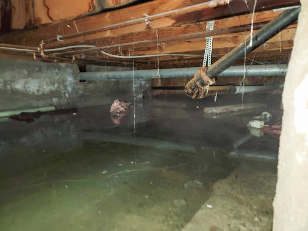 Best Water damage contractors near me  in Riverwoods, IL