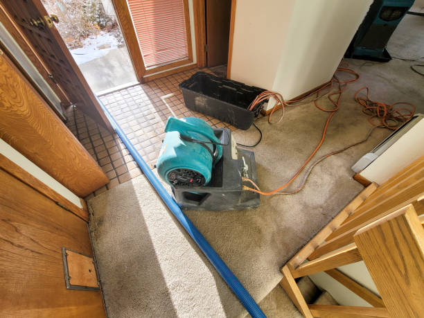 Best Carpet water damage restoration  in Riverwoods, IL
