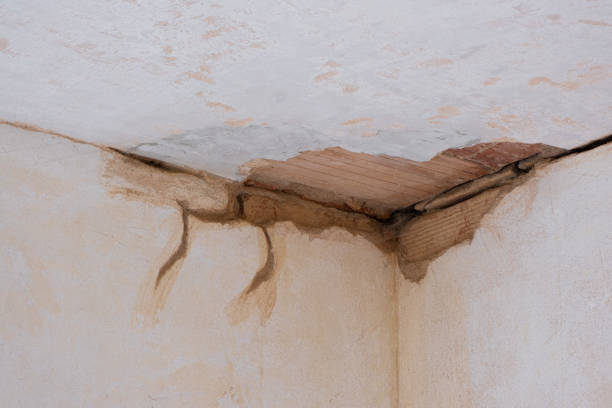 Best Flood damage cleanup  in Riverwoods, IL