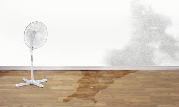 Carpet water damage restoration in Riverwoods, IL