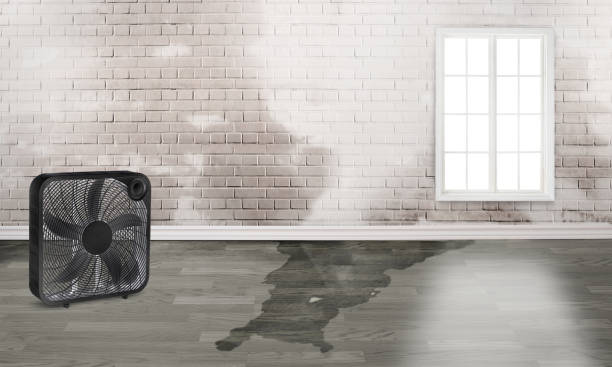 Best Emergency water damage restoration  in Riverwoods, IL