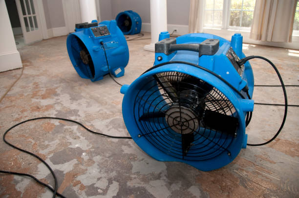 Best Water damage restoration near me  in Riverwoods, IL