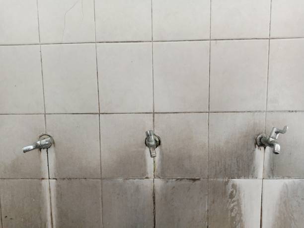 Best Local water damage restoration  in Riverwoods, IL