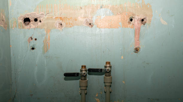 Best Sewage cleanup and water damage restoration  in Riverwoods, IL